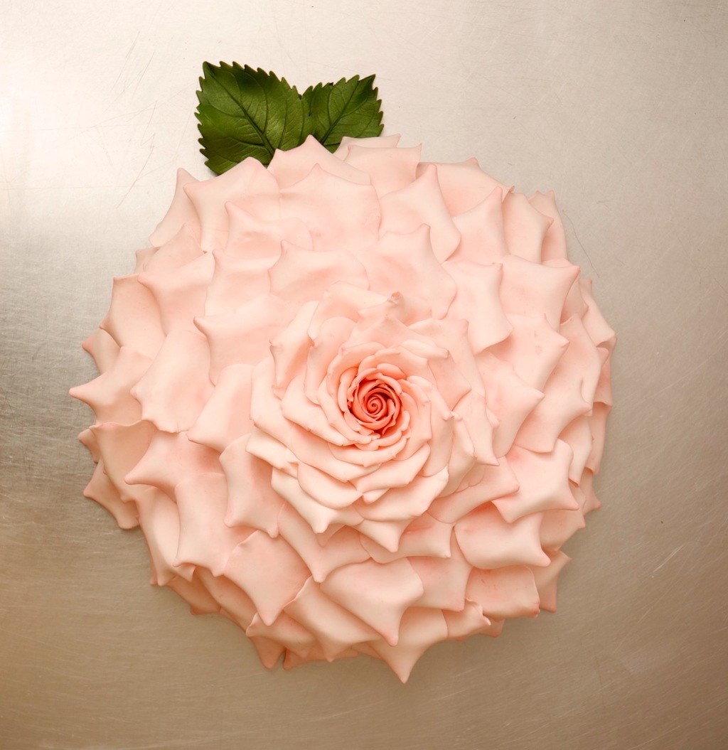 How to make a Rose Cake…